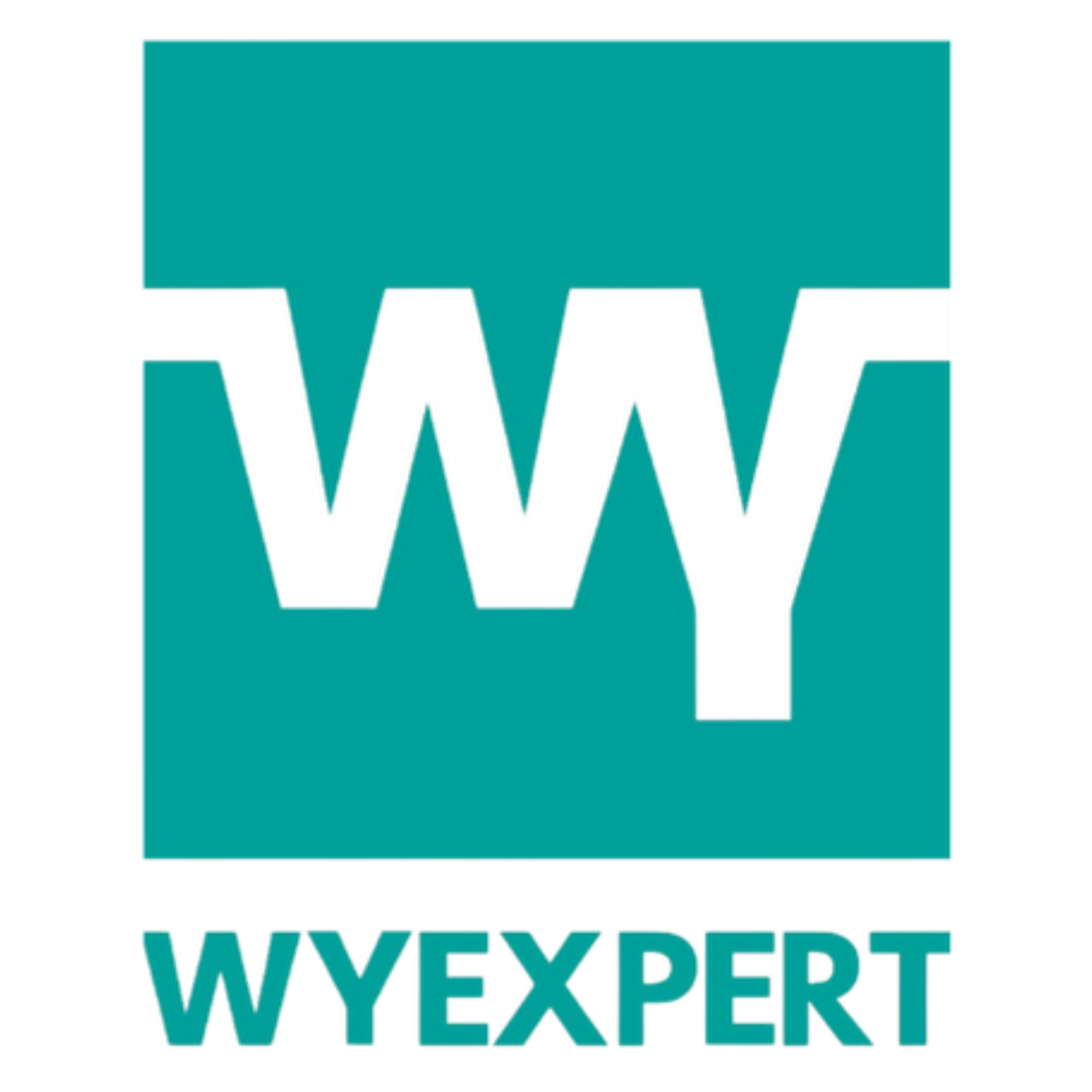 logos wyexpert